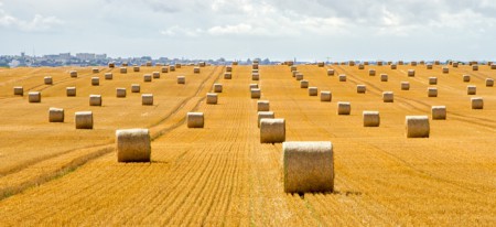 Noord-oost Duitsland - aug. 2013